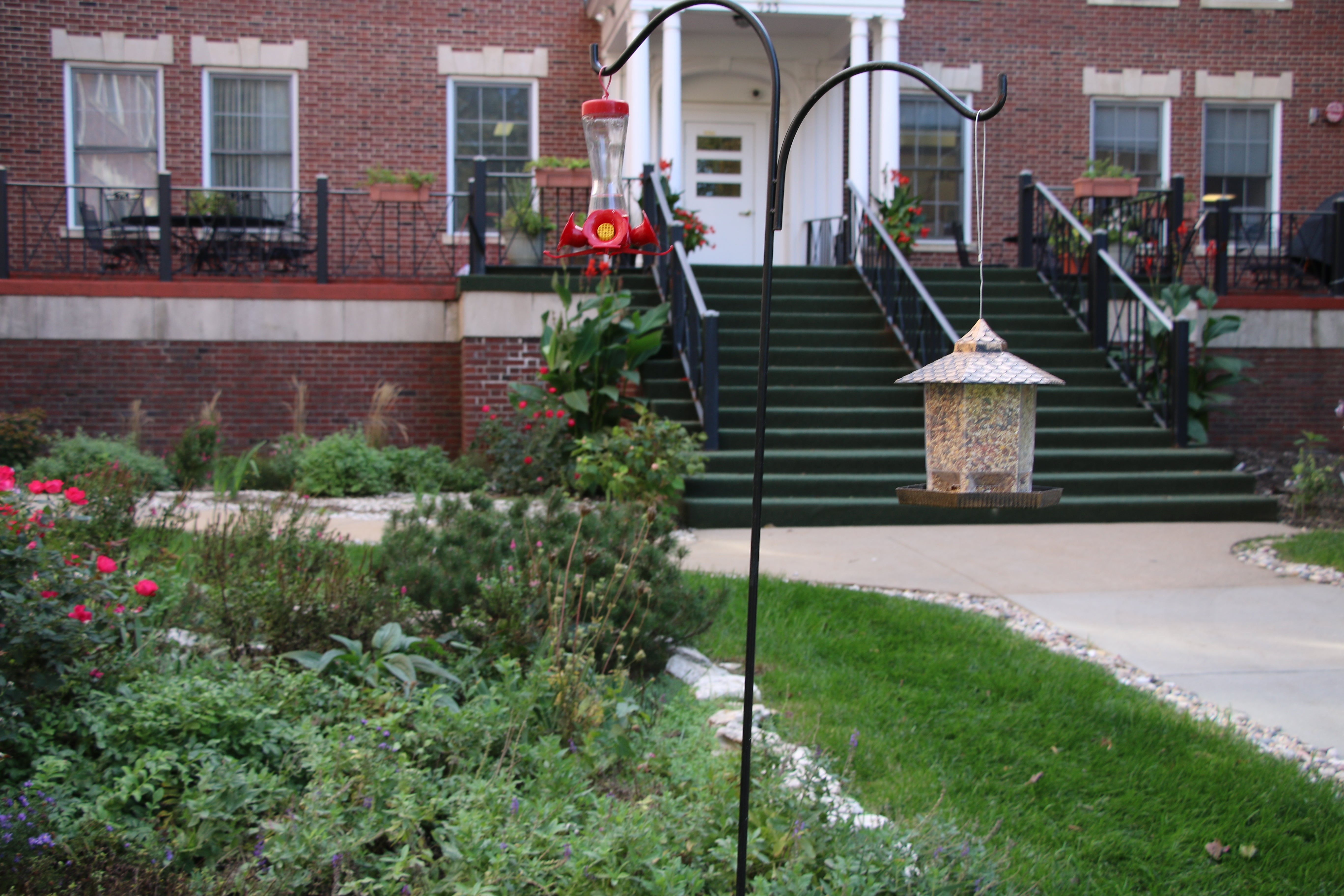 Older Adult Services