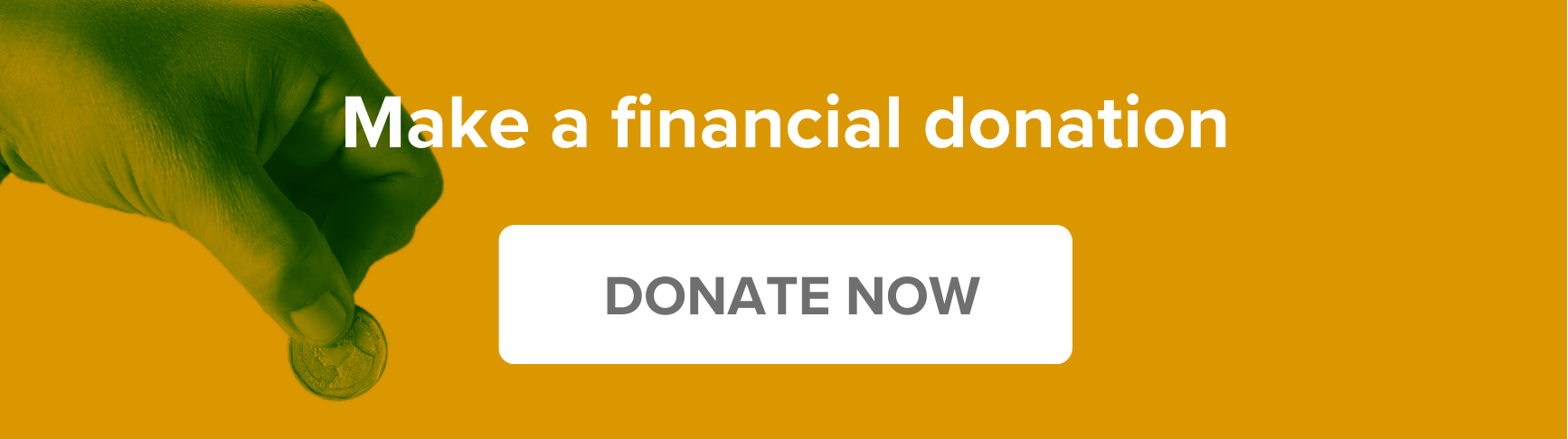 Make a Financial Donation